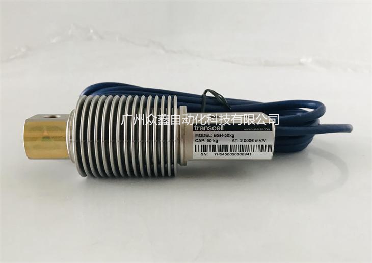 美國傳力 BSH-500kg稱重傳感器實(shí)拍圖2